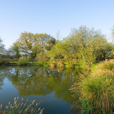 Our Goldfinch 1- Sleeps 2 Persons- Private Hot Tub-Pet Friendly-Tranquil Holiday Away From It All Yet Not Far From St Austell- The Holiday Home Has One Bedroom, Living And Dining Area, Equipped Kitchen-Decking-Outdoor Furniture-Fishing Lakes And More Grampound Extérieur photo